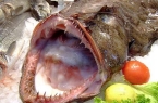 Monk Fish