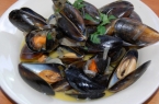 Mussels