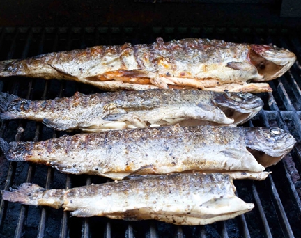 BBQ Spicey Trout